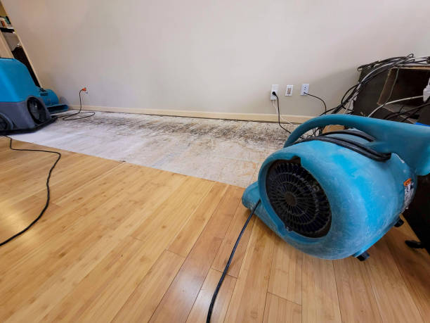 Professional Burst Pipe Water Damage technician working in Moulton, AL
